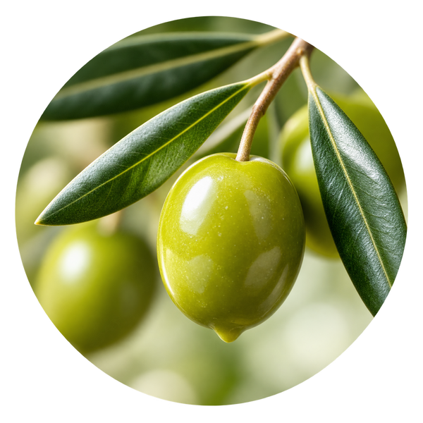 Aceite de oliva