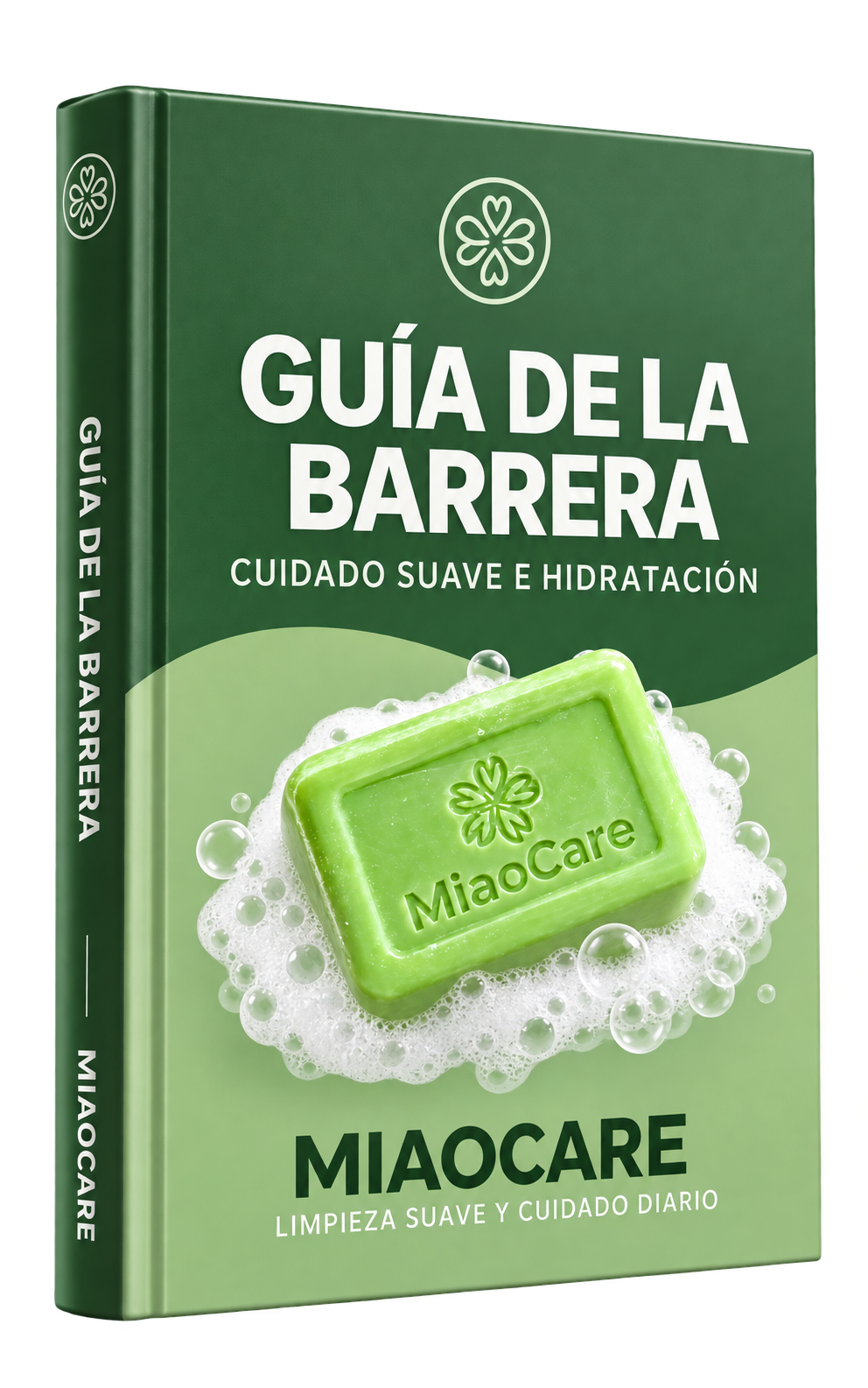 Guía para proteger tu barrera